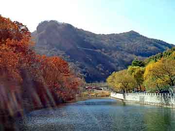 屁屁色播影院，泛目录排名